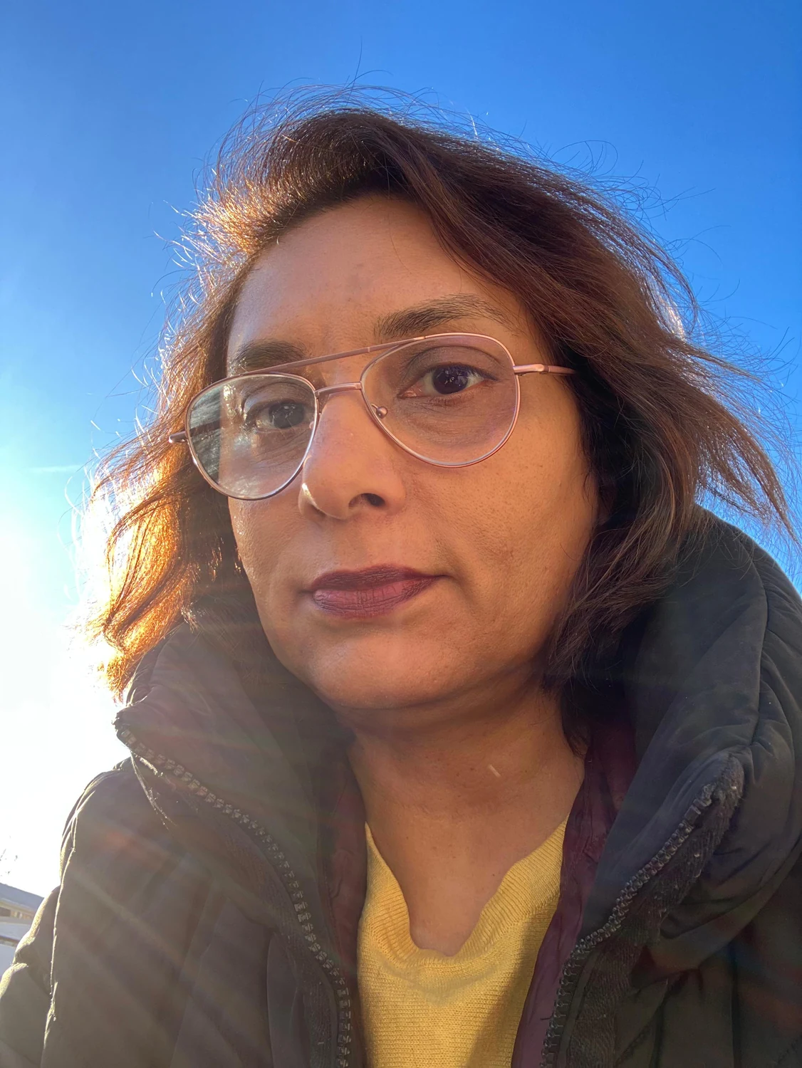 Bina Shah